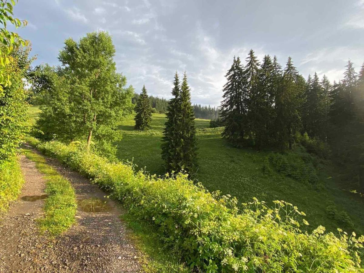 Villa Ahrida Smolyan Luaran gambar